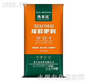 緩釋肥料18-22-8-先豐達(dá)