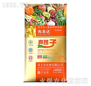 植物營養(yǎng)專家-真菌子-先豐達(dá)