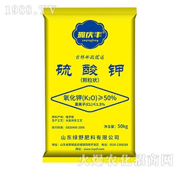 ����⛣��w���-���c�S-�GҰ