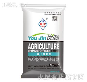 ϡ�����}���������-����