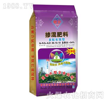 �����LЧ�͓������28-13-13-����