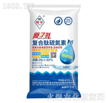 ԭ�ӵ���(f��)������-����