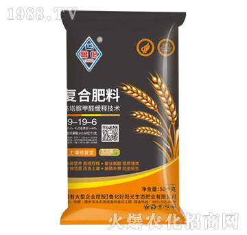 復(fù)合肥料19-19-6-魯化