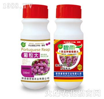葡萄膨大肥-碧雨-普思頓農(nóng)業(yè)