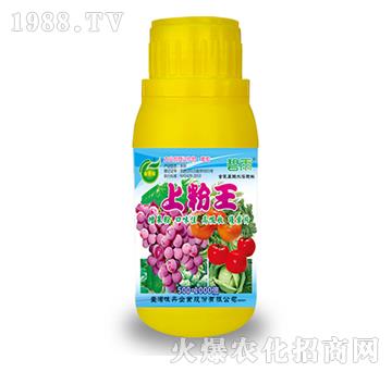 上粉王-碧雨-普思頓農(nóng)業(yè)