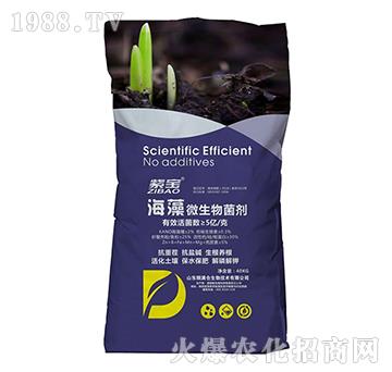 5�|����΢�������-�ό�-�Z�M�}(c��ng)