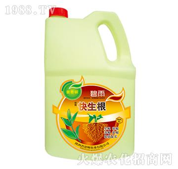 ������-����-��˼�D�r�I(y��)