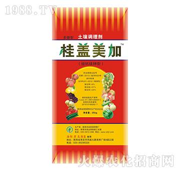 ���}�V���-���w����-�s��