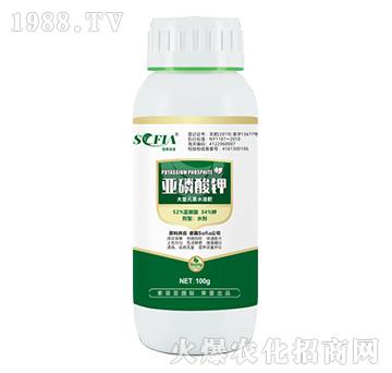 ������⛣�100g��-���Ɓ�