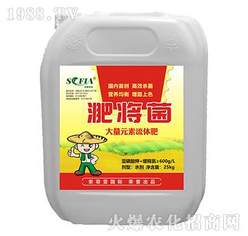 大量元素流體肥-淝將菌-索菲亞