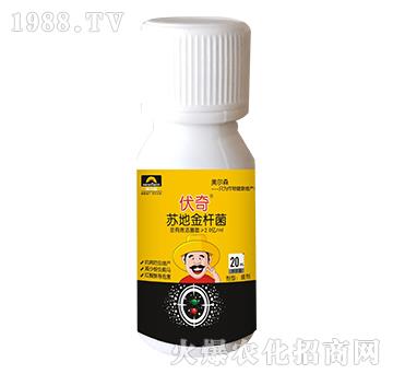 �K�ؽ�U��-����-����ɭ