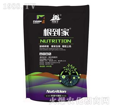 ����(d��ng)��-�_��ţ