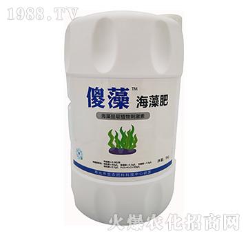 ɵ�庣���-���S�ʘI(y��)