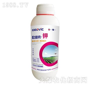 �W�S�ˡ��-�A�˱���