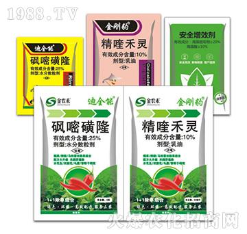 ��ȫ��+������-�ݵ�˹