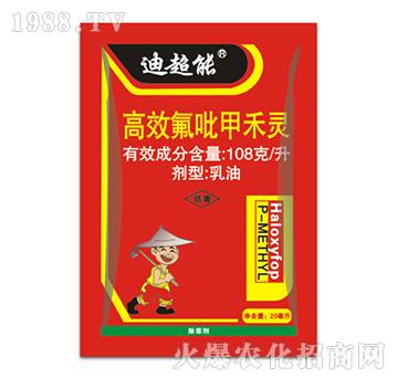 108克每升高效氟吡甲禾靈-迪超能-拜迪斯