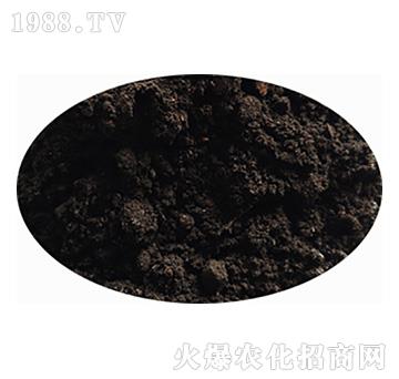 �l(f��)�ͷۄ�-��(r��n)�r(n��ng)��