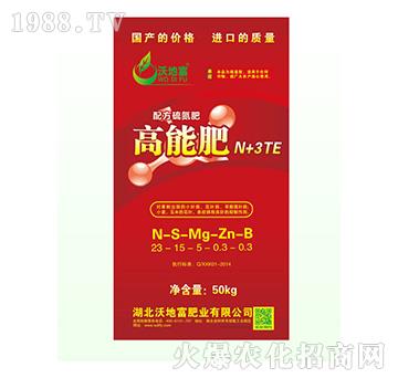 ���ܷ�N+3TE-�ֵظ�