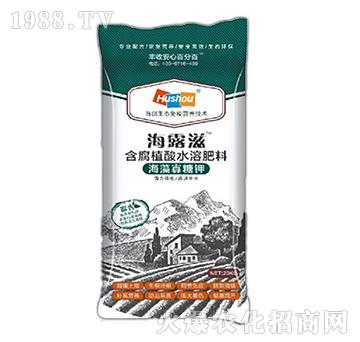 �������⛺���ֲ��ˮ�ܷ���-��¶��-�o��