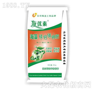 ������}�V⛷�-�S������