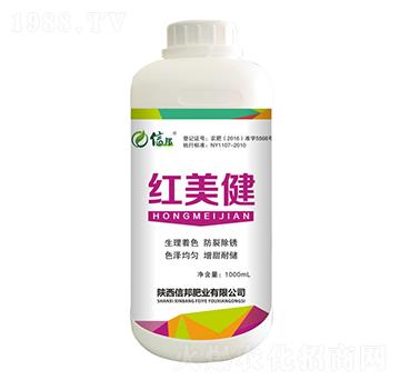 �t����-�Ű�ʘI(y��)