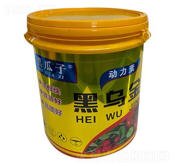 黑烏金-黑瓜子-新稻香村