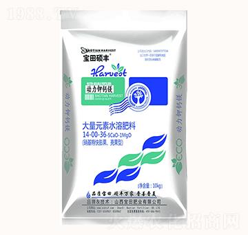 ����Ԫ��ˮ�ܷ���14-00-36-5Ca0-1MgO-��(d��ng)����}�V-����ʘI(y��)