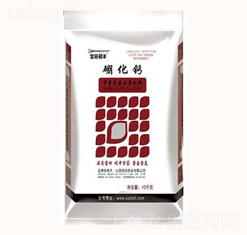 ���}-����ʘI(y��)