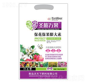 �������������-ʥ���f