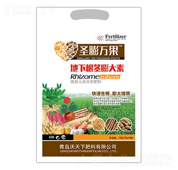 ���¸��o�����-ʥ���f