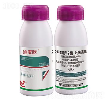 2��4�Ȯ����������׻�¡-�����W-���r(n��ng)����