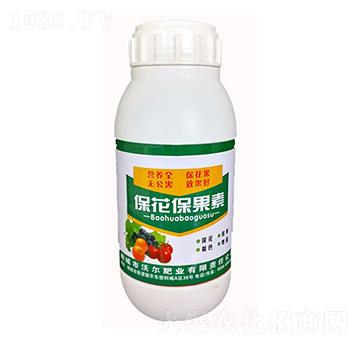 ����������-�֠��ʘI(y��)