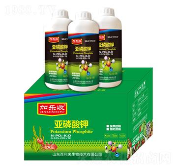 �������0-525-270+TE-�Ә���-������