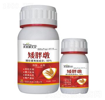 С������-���ֶ�-���r�ִ��-���r����