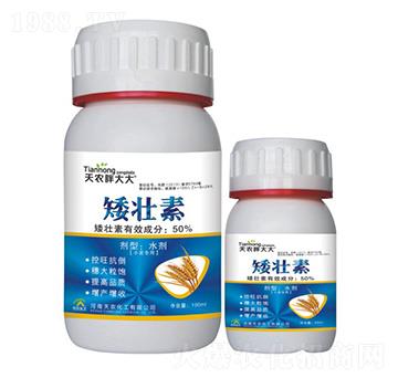 С�����ð�����-���r�ִ��-���r����