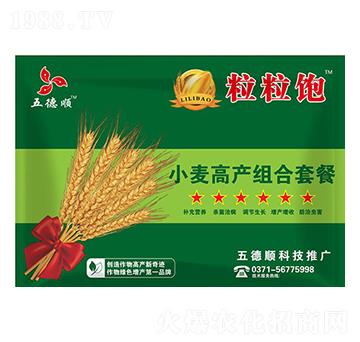 С���߮a(ch��n)�M���ײ�-�����-����