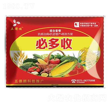 �ض��սM���ײ�-����-����