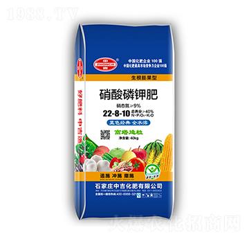 ������⛷�22-8-10-�м�����