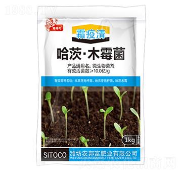 ���ġ�ľù��-˪����-