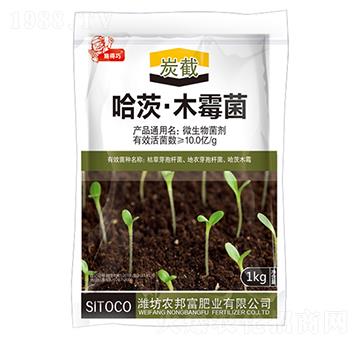 ���ġ�ľù��-̿��-�r(n��ng)