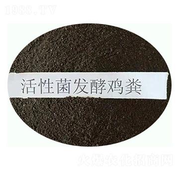 ���Ծ��l(f��)���u�S-���|�ʘI(y��)