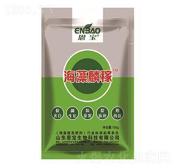 �������-����