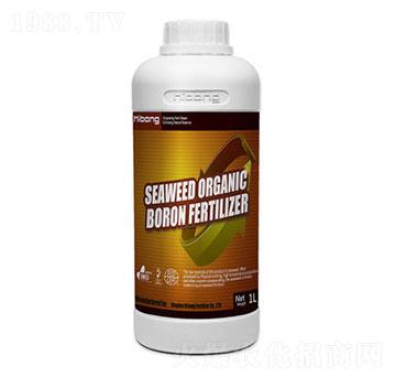 �������-�������