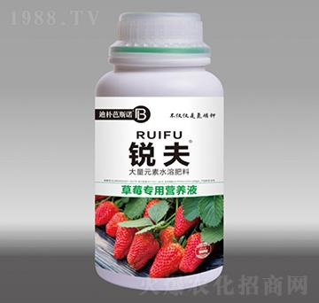 ��ݮ��(zhu��n)�àI(y��ng)�B(y��ng)Һ-�J��-�Ϙ��˹�Z