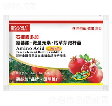 石榴碧多加-鑫禾生物