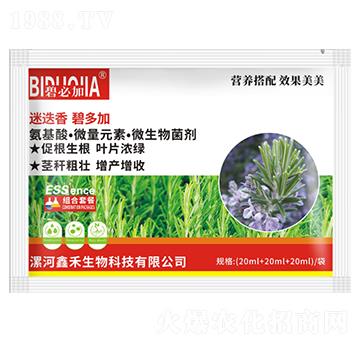 迷迭香碧多加-鑫禾生物