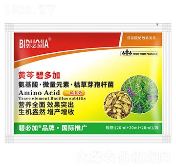 黃芩碧多加-鑫禾生物