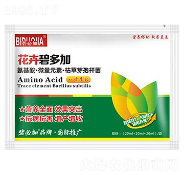 花卉碧多加-鑫禾生物