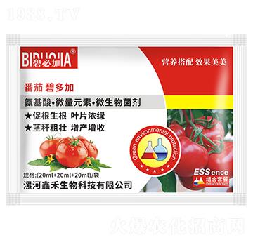 番茄碧多加-鑫禾生物
