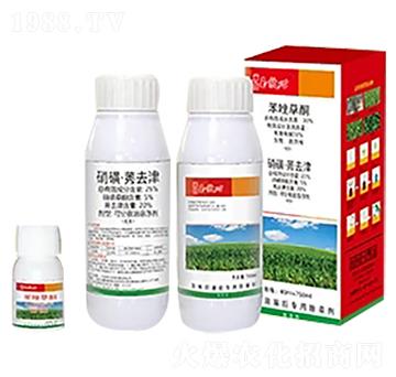 30%�����ͪ+25%���ǡ�ݬȥ��-ِ��